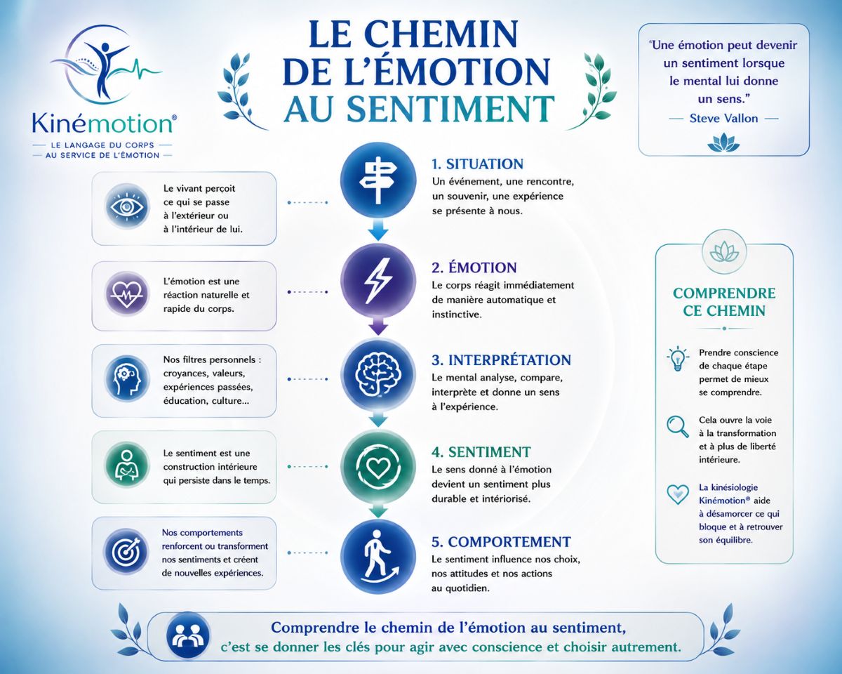 Le chemin de l'émotion au sentiment – Kinémotion® Le chemin de l'émotion au sentiment selon la méthode Kinémotion® : situation, émotion, interprétation, sentiment et comportement