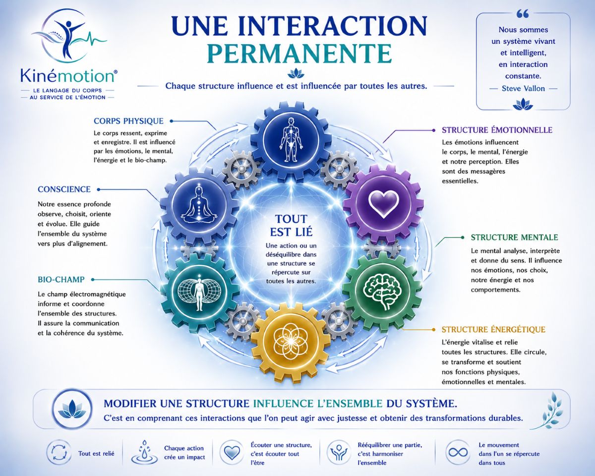 Une interaction permanente – Les structures de l'Homme Énergétique Interaction permanente entre les structures de l'Homme Énergétique selon la méthode Kinémotion® : corps physique, émotions, mental, énergie, bio-champ et conscience